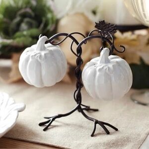 Set of Pier One Imports Pumpkin Vine Salt and Pepper Shakers With Box